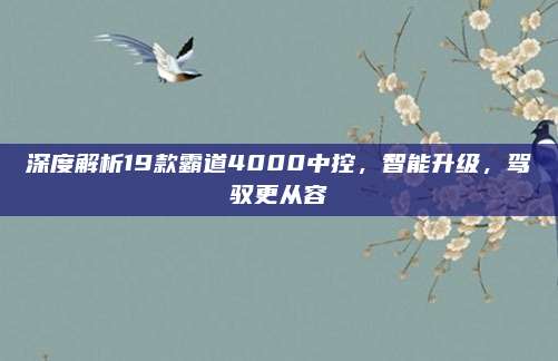 深度解析19款霸道4000中控,智能升级,驾驭更从容
