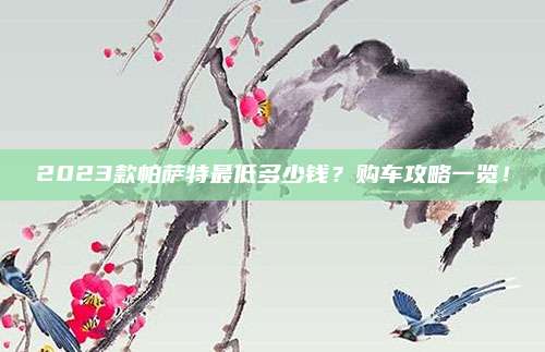 2023款帕萨特最低多少钱?购车攻略一览!