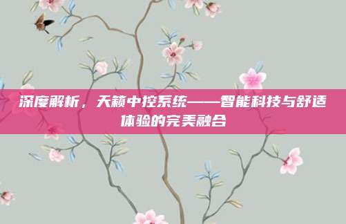 深度解析,天籁中控系统——智能科技与舒适体验的完美融合