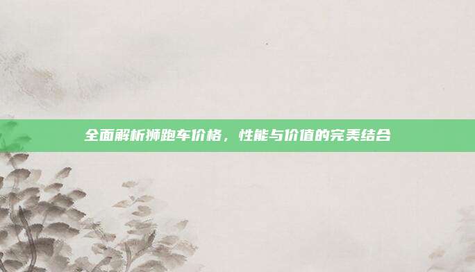 全面解析狮跑车价格,性能与价值的完美结合