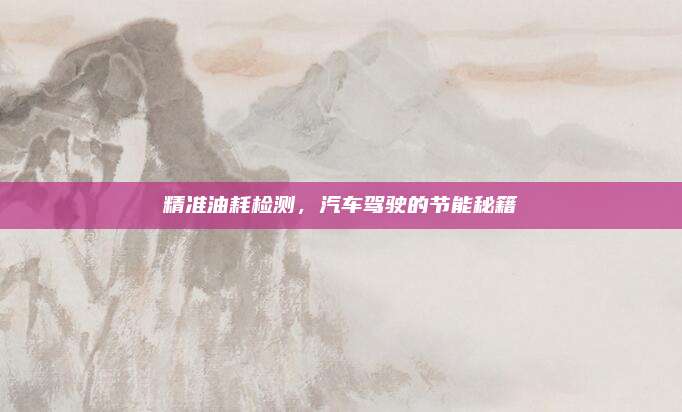 精准油耗检测,汽车驾驶的节能秘籍