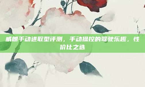 威朗手动进取型评测,手动操控的驾驶乐趣,性价比之选