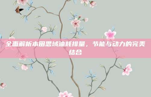 全面解析本田思域油耗排量,节能与动力的完美结合