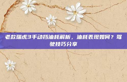 老款瑞虎3手动挡油耗解析,油耗表现如何?驾驶技巧分享