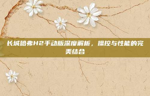 长城哈弗H2手动版深度解析，操控与性能的完美结合