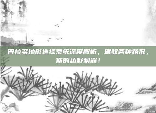 普拉多地形选择系统深度解析,驾驭各种路况,你的越野利器!