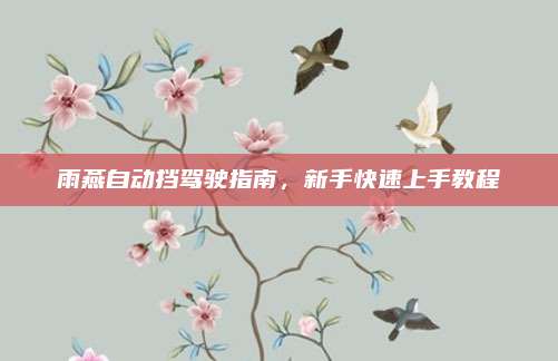 雨燕自动挡驾驶指南,新手快速上手教程