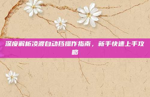 深度解析凌渡自动挡操作指南,新手快速上手攻略