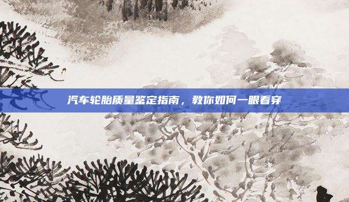 汽车轮胎质量鉴定指南,教你如何一眼看穿
