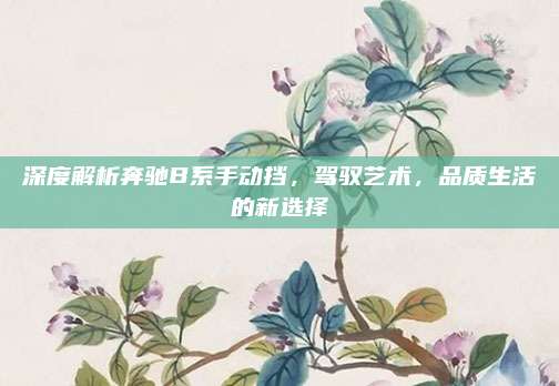 深度解析奔驰B系手动挡,驾驭艺术,品质生活的新选择
