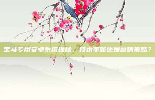 宝马专用安卓系统揭秘,技术革新还是营销策略?
