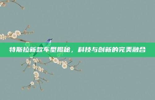 特斯拉新款车型揭秘,科技与创新的完美融合