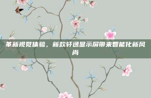 革新视觉体验,新款轩逸显示屏带来智能化新风尚