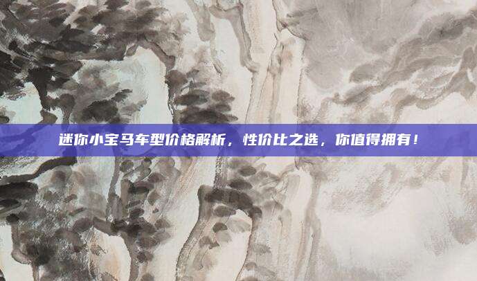 迷你小宝马车型价格解析,性价比之选,你值得拥有!
