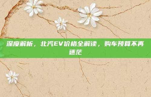 深度解析,北汽EV价格全解读,购车预算不再迷茫