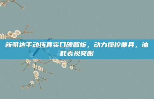 新骐达手动挡真实口碑解析,动力操控兼具,油耗表现亮眼
