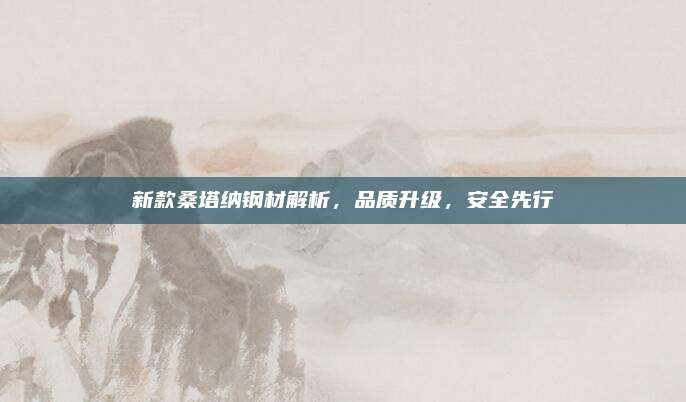 新款桑塔纳钢材解析,品质升级,安全先行