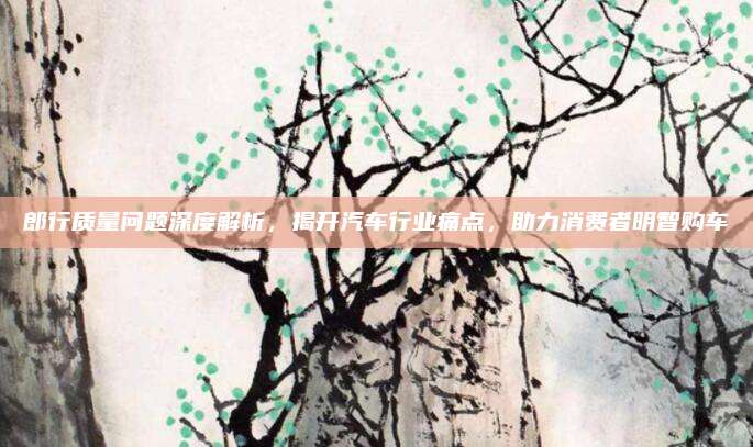 郎行质量问题深度解析,揭开汽车行业痛点,助力消费者明智购车