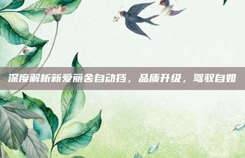 深度解析新爱丽舍自动挡，品质升级，驾驭自如