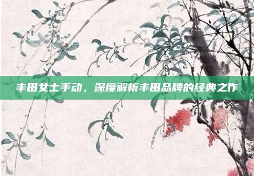 丰田女士手动,深度解析丰田品牌的经典之作