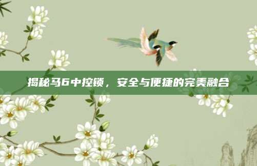 揭秘马6中控锁,安全与便捷的完美融合
