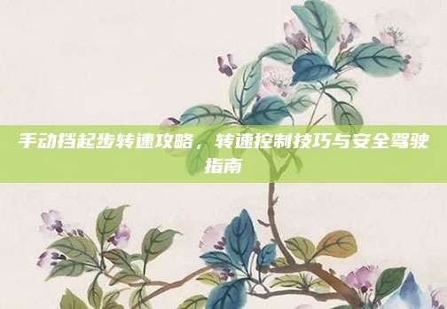 手动挡起步转速攻略,转速控制技巧与安全驾驶指南