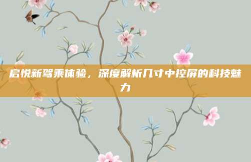 启悦新驾乘体验,深度解析几寸中控屏的科技魅力