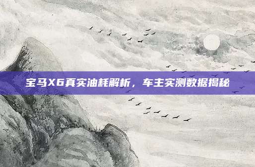 宝马X6真实油耗解析,车主实测数据揭秘