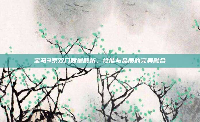 宝马3系双门质量解析,性能与品质的完美融合