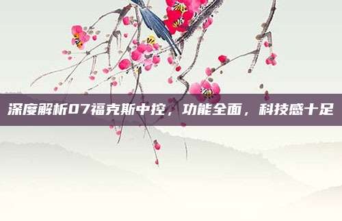 深度解析07福克斯中控,功能全面,科技感十足