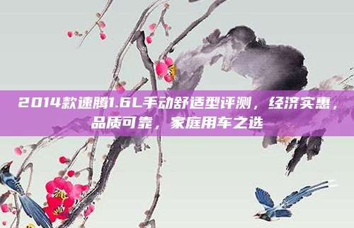 2014款速腾1.6L手动舒适型评测,经济实惠,品质可靠,家庭用车之选