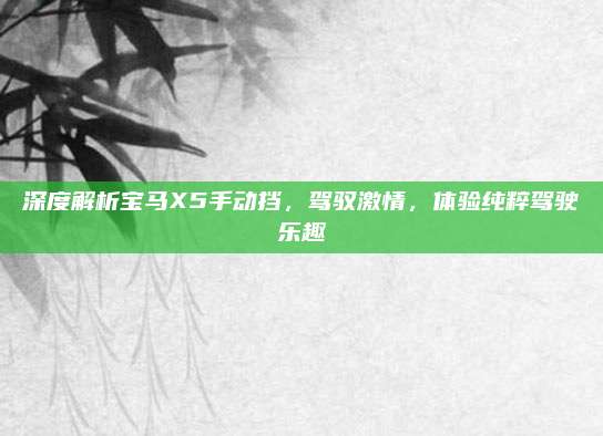 深度解析宝马X5手动挡，驾驭激情，体验纯粹驾驶乐趣