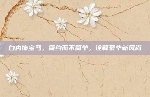 白内饰宝马,简约而不简单,诠释豪华新风尚