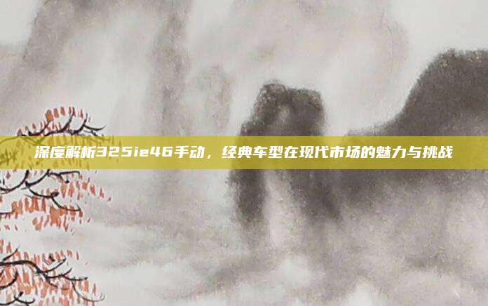 深度解析325ie46手动,经典车型在现代市场的魅力与挑战