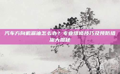 汽车方向机漏油怎么办?专业维修技巧及预防措施大揭秘