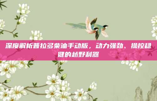 深度解析普拉多柴油手动版,动力强劲、操控稳健的越野利器