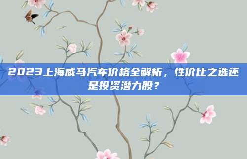 2023上海威马汽车价格全解析,性价比之选还是投资潜力股?