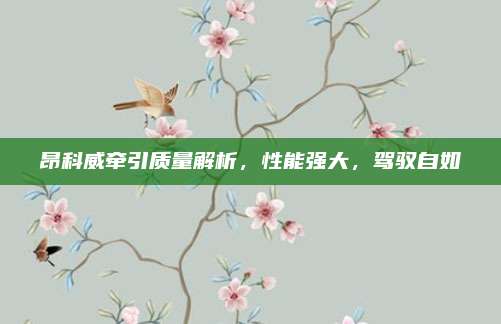 昂科威牵引质量解析,性能强大,驾驭自如