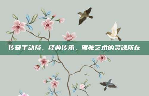 传奇手动挡,经典传承,驾驶艺术的灵魂所在