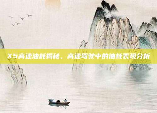 X5高速油耗揭秘,高速驾驶中的油耗表现分析