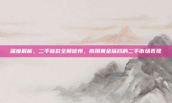 深度解析,二手新款全顺徐州,商用黄金搭档的二手市场表现