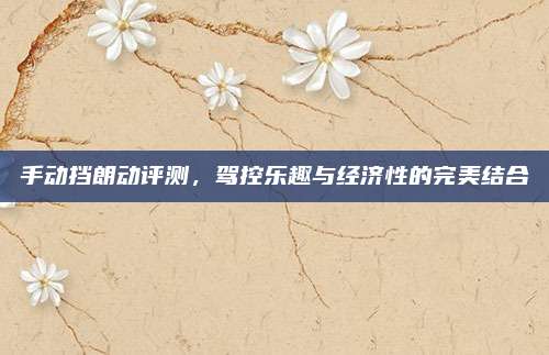 手动挡朗动评测,驾控乐趣与经济性的完美结合