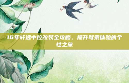 16年轩逸中控改装全攻略,提升驾乘体验的个性之旅
