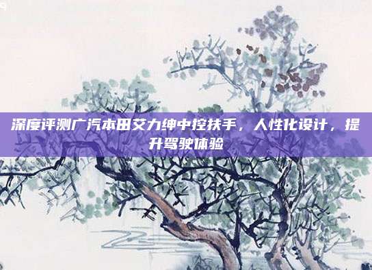 深度评测广汽本田艾力绅中控扶手,人性化设计,提升驾驶体验