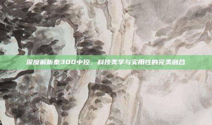 深度解析秦300中控,科技美学与实用性的完美融合