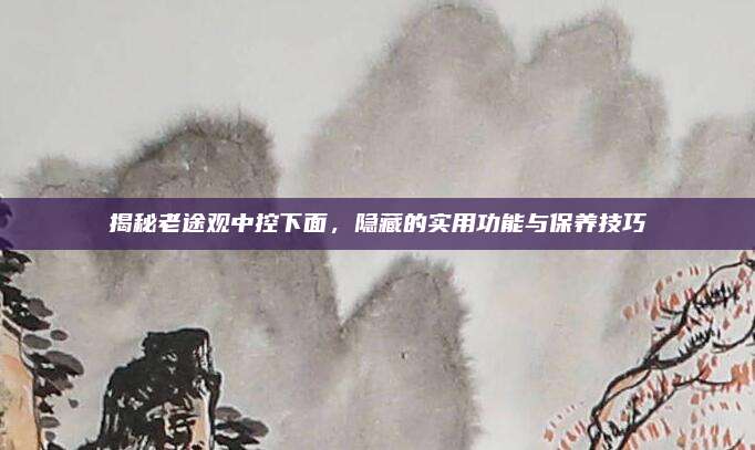 揭秘老途观中控下面,隐藏的实用功能与保养技巧