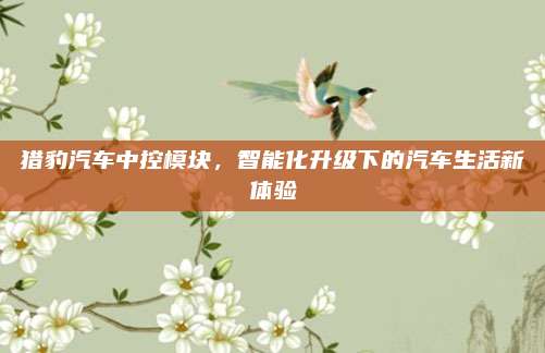 猎豹汽车中控模块,智能化升级下的汽车生活新体验