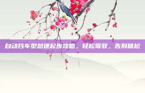 自动挡车型怠速起步攻略,轻松驾驭,告别尴尬