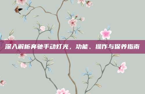 深入解析奔驰手动灯光,功能、操作与保养指南