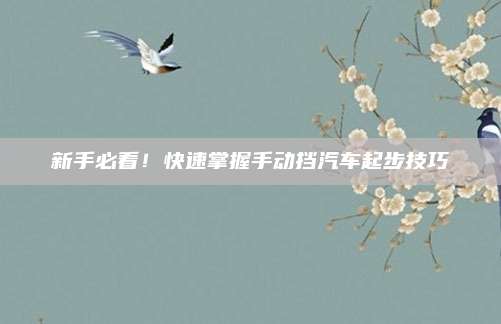新手必看!快速掌握手动挡汽车起步技巧